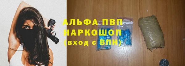 мдпв Козельск